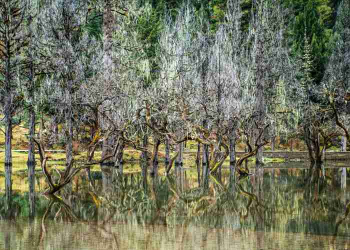 成都去都江堰直通车，多少钱能搞定？看完这篇你就全明白了！-第3张图片-成都租车公司